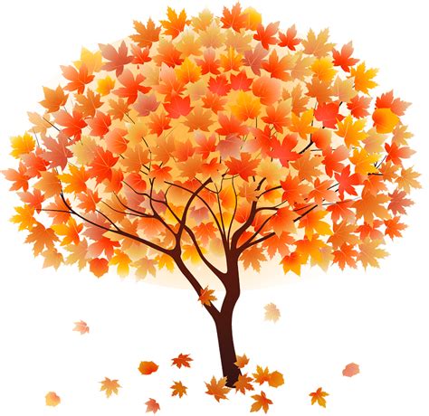 autumn trees clipart